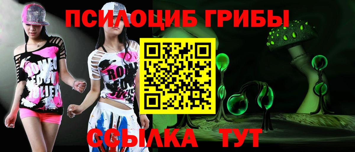 Псилоцибиновые грибы мицелий  Вход с VPN  Галлюциногенные грибы Psilocybe  Мурино 