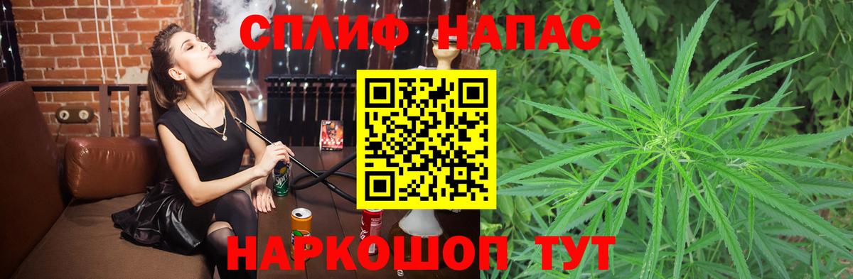 Канабис сатива Мурино